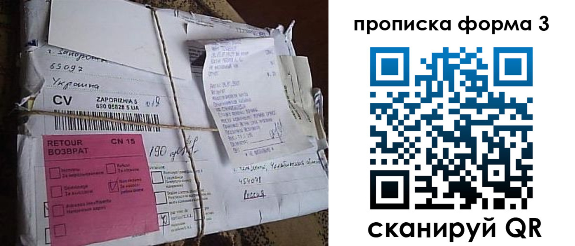 прописка 2025 в Каргополе